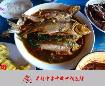 老驥伏櫪,志在千里,單騎中蒙中俄中朝邊陲。